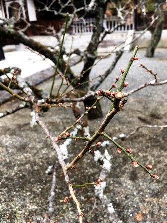 IMG_6913_20180103230457e80.jpg